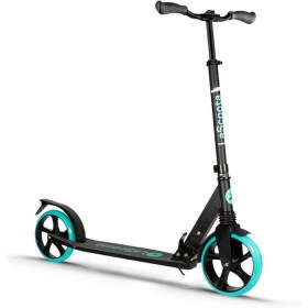 lascoota 01